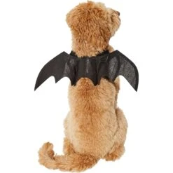 Frisco Bat Wings Dog & Cat Costume 10 Frisco Bat Wings Dog & Cat Costume -Frisco 261113 PT2. AC SS1800 V1625077070