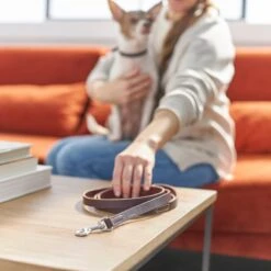 Frisco Top Grain Leather Leash -Frisco 266521 PT3. AC SS1800 V1619536628