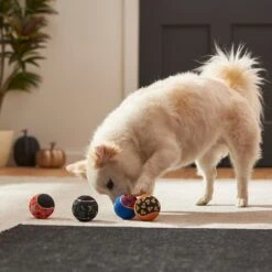 Frisco Halloween Glow In The Dark Fetch Squeaky Tennis Ball Dog Toy -Frisco 270525 PT3. AC SS1800 V1624824980