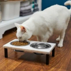 Frisco Marble Elevated Stainless Steel Double Diner Dog & Cat Bowls -Frisco 277559 PT3. AC SS1800 V1630347820