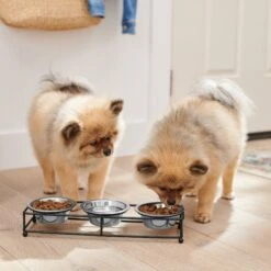 Frisco Multi Pet Feeding 3-Bowls Straight Stainless Steel Dog & Cat Bowl 11 Frisco Multi Pet Feeding 3-Bowls Straight Stainless Steel Dog & Cat Bowl -Frisco 277568 PT2. AC SS1800 V1630346795