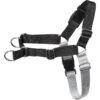 Frisco Basic No Pull Harness -Frisco 277873 MAIN. AC SS1800 V1629758946