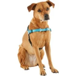 Frisco Padded Reflective No Pull Harness 10 Frisco Padded Reflective No Pull Harness -Frisco 277892 PT3. AC SS1800 V1629758833