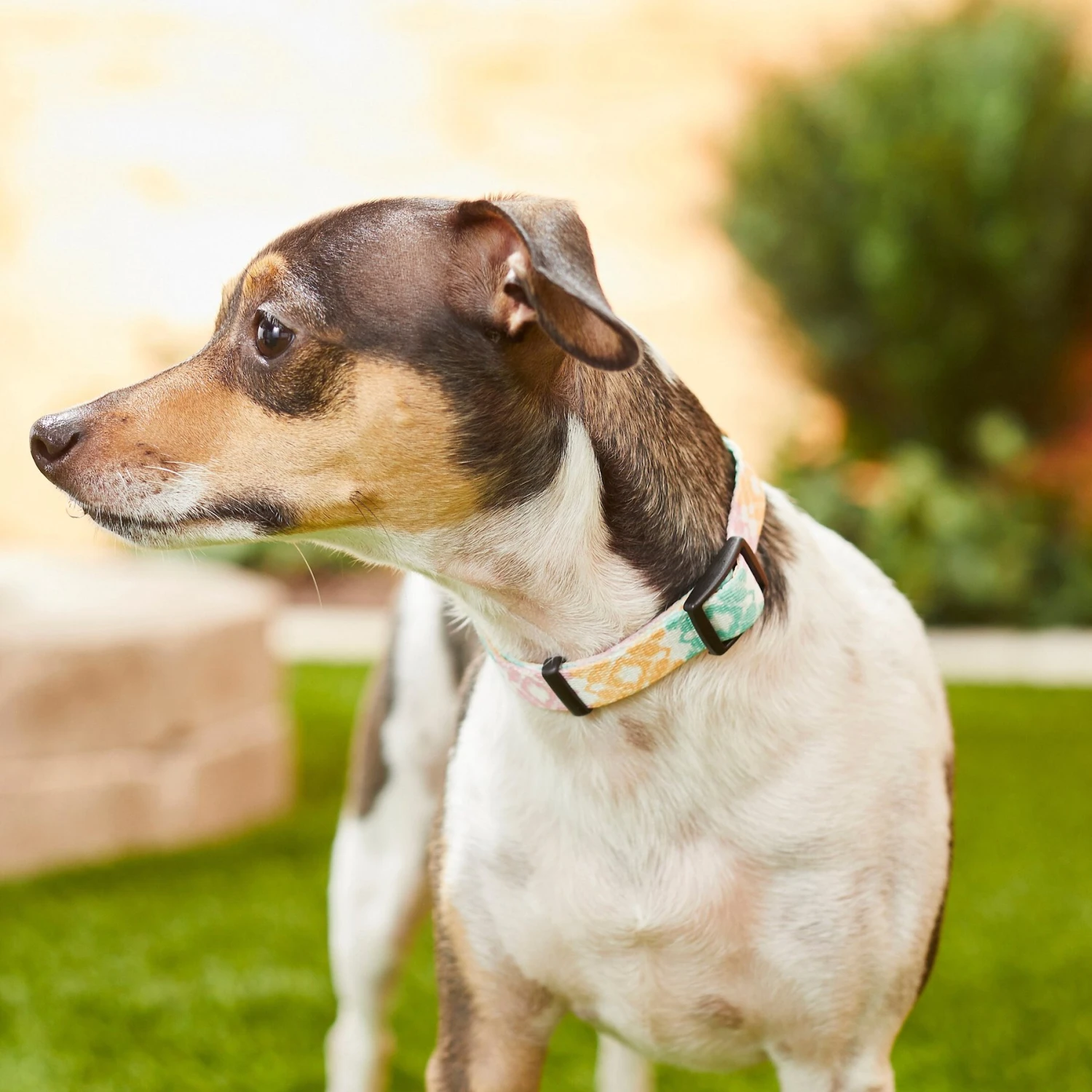 Frisco Pastel Tie Dye Polyester Personalized Dog Collar 7 Frisco Pastel Tie Dye Polyester Personalized Dog Collar - Image 5