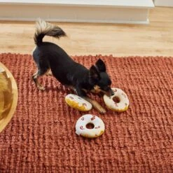 Frisco Fall Maple Bacon Donuts Plush Squeaky Dog Toy, 3 Count -Frisco 285613 PT3. AC SS1800 V1629725241