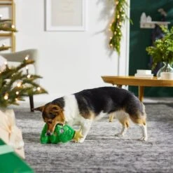 Frisco Holiday Tree Thin Plush Squeaky Dog Toy 9 Frisco Holiday Tree Thin Plush Squeaky Dog Toy -Frisco 287167 PT3. AC SS1800 V1632773873