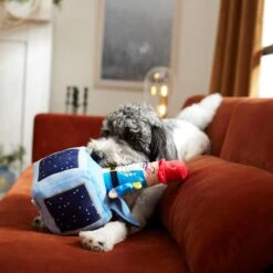 Frisco Nutcracker-in-a-Box Plush Squeaky Dog Toy 9 Frisco Nutcracker-in-a-Box Plush Squeaky Dog Toy -Frisco 287173 PT3. AC SS1800 V1632773316
