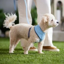 Frisco Fashion Over-The-Head Harness, Striped -Frisco 287479 PT8. AC SS1800 V1632315513