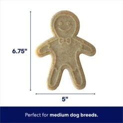 Frisco Nylon Gingerbread Dog Chew Toy, Beef Flavor, Medium -Frisco 291385 PT1. AC SS1800 V1694812785