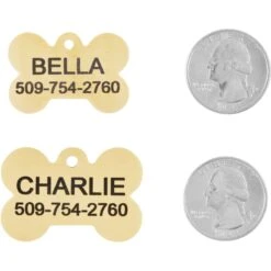 Frisco Brass Personalized Dog ID Tag -Frisco 296191 PT5. AC SS1800 V1628186578
