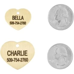 Frisco Brass Personalized Dog & Cat ID Tag, Heart 10 Frisco Brass Personalized Dog & Cat ID Tag, Heart -Frisco 296197 PT5. AC SS1800 V1628186498