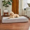 Frisco Ortho Lounger Dog & Cat Bed -Frisco 299465 MAIN. AC SS1800 V1638288352