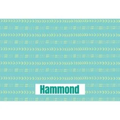 Frisco Mudcloth Personalized Dog & Cat Placemat 9 Frisco Mudcloth Personalized Dog & Cat Placemat -Frisco 299552 PT2. AC SS1800 V1636048646