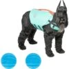Frisco Active Dog Life Jacket & Frisco Foam Rubber Floating Fetch Ball No Squeak Dog Toy -Frisco 303364 MAIN. AC SS1800 V1623163652