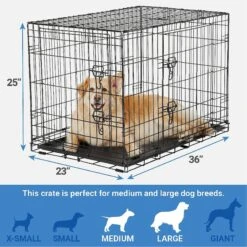 Frisco Fold & Carry Double Door Collapsible Wire Dog Crate & Mat Kit & Frisco Stainless Steel Bowl -Frisco 303428 PT2. AC SS1800 V1623055045