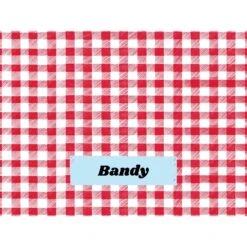 Frisco Personalized Gingham Plaid Sherpa Cat & Dog Blanket, 30" X 40" 12 Frisco Personalized Gingham Plaid Sherpa Cat & Dog Blanket, 30" X 40" -Frisco 303834 PT4. AC SS1800 V1637610144