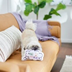 Frisco Easter Message Bubble Plush Squeaky Dog Toy -Frisco 304980 PT3. AC SS1800 V1642441439