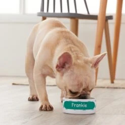 Frisco Personalized Chevron Ceramic Dog & Cat Bowl -Frisco 306760 PT4. AC SS1800 V1639518107