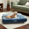 Frisco Personalized Navy Bolstered Bed With Navy Check Bolster 1 Frisco Personalized Navy Bolstered Bed With Navy Check Bolster -Frisco 311766 MAIN. AC SS1800 V1633102642