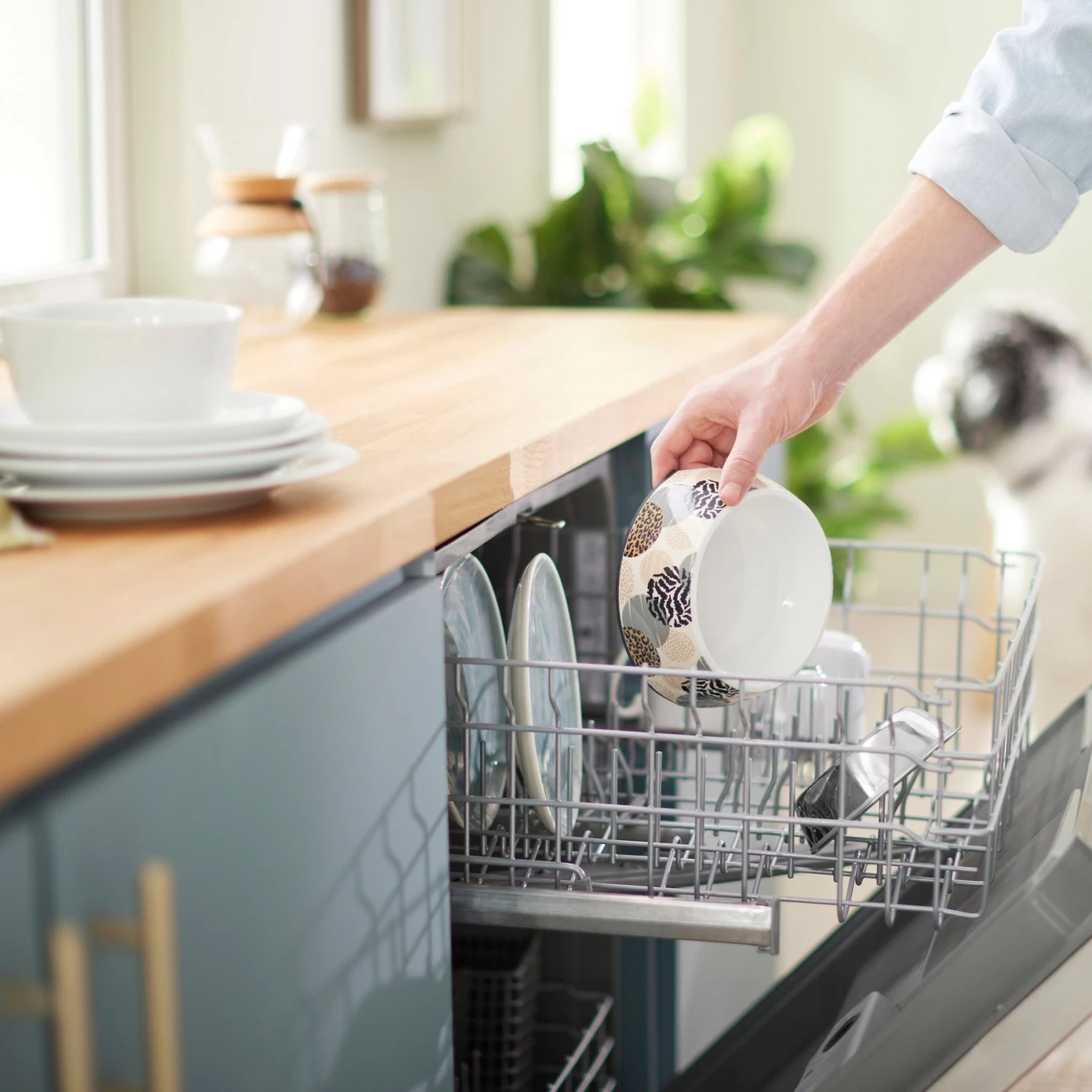 Frisco Animal Design Stainless Steel Dog & Cat Bowl 10 Frisco Animal Design Stainless Steel Dog & Cat Bowl - Image 8