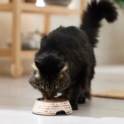 Frisco Copper Print Design Stainless Steel Dog & Cat Bowl -Frisco 311975 PT3. AC SS1800 V1642542357