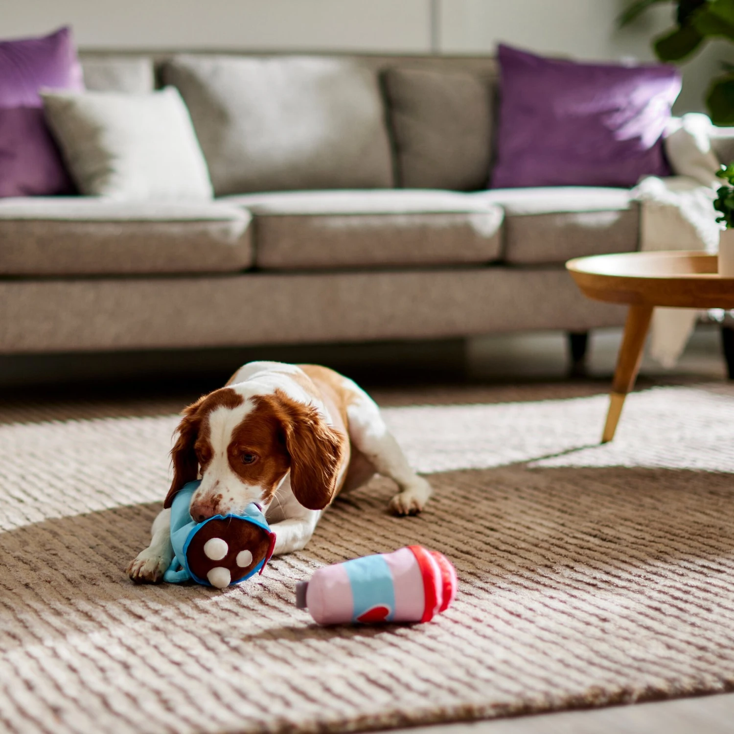 Frisco Valentine Coffee For Two Ballistic Nylon Plush Squeaky Dog Toy 5 Frisco Valentine Coffee For Two Ballistic Nylon Plush Squeaky Dog Toy - Image 3