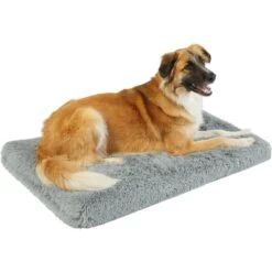 Frisco Eyelash Orthopedic Dog Crate Mat & Frisco Fold & Carry Single Door Collapsible Wire Dog Crate -Frisco 319010 PT1. AC SS1800 V1631628085