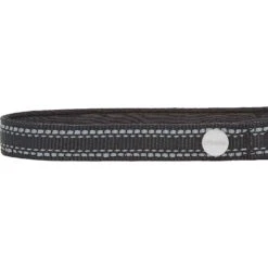 Frisco Outdoor Premium Ripstop Nylon Dog Harness With Pocket & Frisco Outdoor Nylon Reflective Comfort Padded Dog Collar -Frisco 319304 PT6. AC SS1800 V1631158591