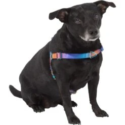 Frisco Purple Ombre Style Dog Harness -Frisco 324526 PT2. AC SS1800 V1642519692