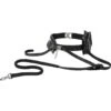 Frisco Outdoor Running Belt With Bungee Dog Leash -Frisco 331408 MAIN. AC SS1800 V1659977384