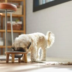 Frisco Premium Round Shape Elevated Single Dog & Cat Bowl -Frisco 331502 PT2. AC SS1800 V1657656893