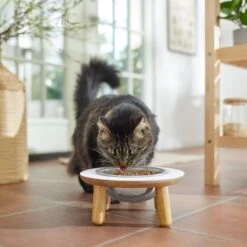 Frisco Premium Round Shape Elevated Single Dog & Cat Bowl -Frisco 331502 PT3. AC SS1800 V1657656892