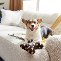 Frisco Pride Proud Pup Bone Plush Squeaky Dog Toy -Frisco 331638 PT3. AC SS1800 V1647355940