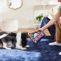 Frisco Pride Rainbow Plush With Rope Squeaky Dog Toy 7 Frisco Pride Rainbow Plush With Rope Squeaky Dog Toy -Frisco 331653 PT3. AC SS1800 V1647356026