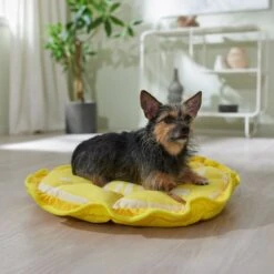Frisco 23 Frisco Lemon Adjustable Cat & Dog Bolster Bed