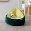Frisco Avocado Cat & Dog Bed 1 Frisco Avocado Cat & Dog Bed -Frisco 333856 MAIN. AC SS1800 V1658717997