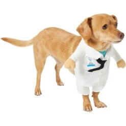 Frisco Front Walking Doctor Dog & Cat Costume -Frisco 334900 PT3. AC SS1800 V1658344549