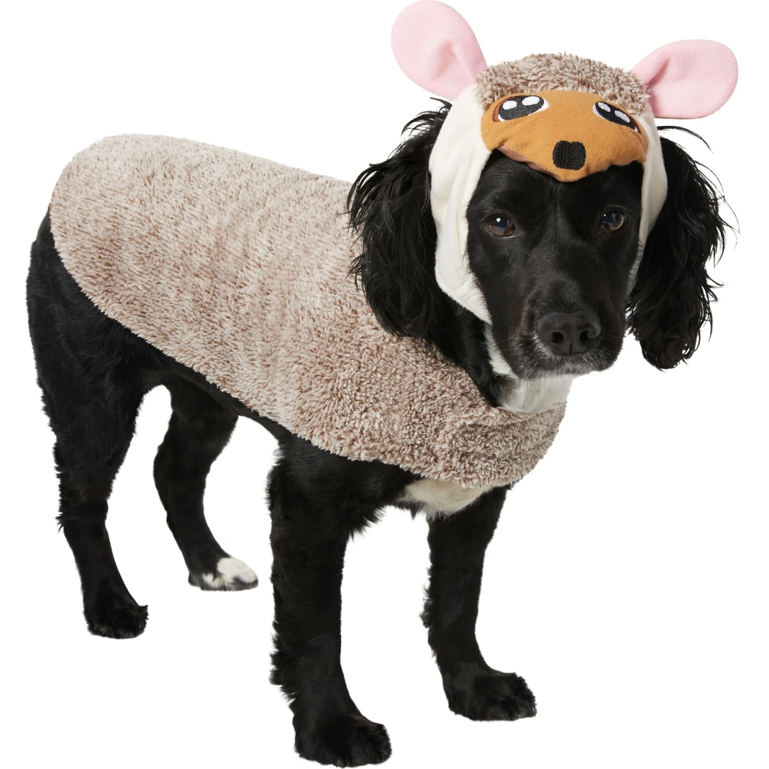 Frisco Hedgehog Dog & Cat Costume 3 Frisco Hedgehog Dog & Cat Costume