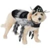 Frisco Spider Dog & Cat Costume 2 Frisco Spider Dog & Cat Costume -Frisco 335017 MAIN. AC SS1800 V1658718137