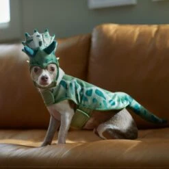 Frisco Triceratops Dog & Cat Costume 16 Frisco Triceratops Dog & Cat Costume -Frisco 335093 PT7. AC SS1800 V1657659565
