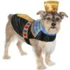 Frisco Royal Pharoah Dog & Cat Costume -Frisco 335114 MAIN. AC SS1800 V1658346560