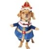Frisco Front Walking Royal King Dog & Cat Costume -Frisco 335127 MAIN. AC SS1800 V1658342828