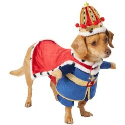 Frisco Front Walking Royal King Dog & Cat Costume -Frisco 335127 PT3. AC SS1800 V1658346228