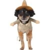 Frisco Front Walking Scarecrow Dog & Cat Costume 1 Frisco Front Walking Scarecrow Dog & Cat Costume -Frisco 335135 MAIN. AC SS1800 V1658349298