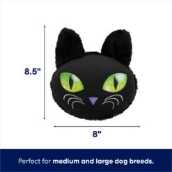Frisco Halloween Black Cat Round Plush Squeaky Dog Toy -Frisco 344039 PT1. AC SS1800 V1689877484