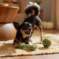 Frisco Halloween Glow In The Dark TPR Squeaky Bone & Ball Dog Toy -Frisco 344130 PT3. AC SS1800 V1657657042