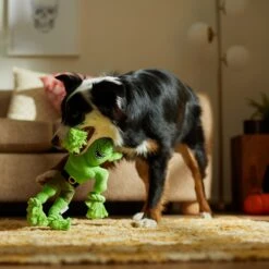 Frisco Halloween Goblin Plush With Rope Squeaky Dog Toy 9 Frisco Halloween Goblin Plush With Rope Squeaky Dog Toy -Frisco 344132 PT3. AC SS1800 V1657657042