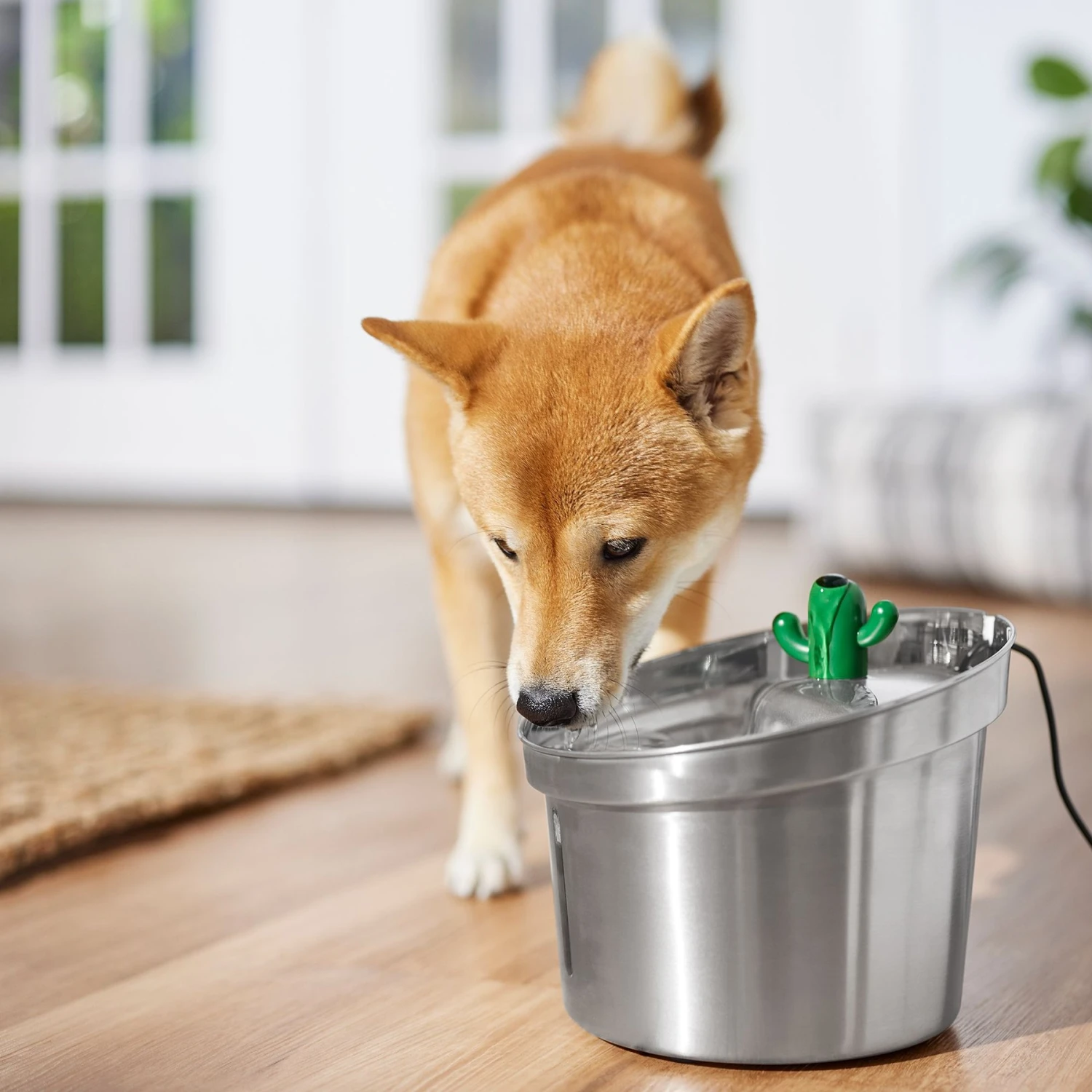 Frisco Stainless Steel Cactus & Leaf Dog & Cat Fountain 8 Frisco Stainless Steel Cactus & Leaf Dog & Cat Fountain - Image 6