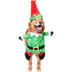 Frisco Front Walking Elf Dog & Cat Costume 14 Frisco Front Walking Elf Dog & Cat Costume -Frisco 357956 PT3. AC SS1800 V1660760416