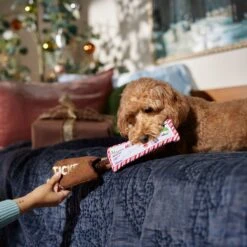 Frisco Holiday Home For The Holidays Airline Ticket Bungee Plush Squeaky Dog Toy -Frisco 360966 PT3. AC SS1800 V1661874362